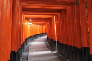 【京都府】一日満喫コース